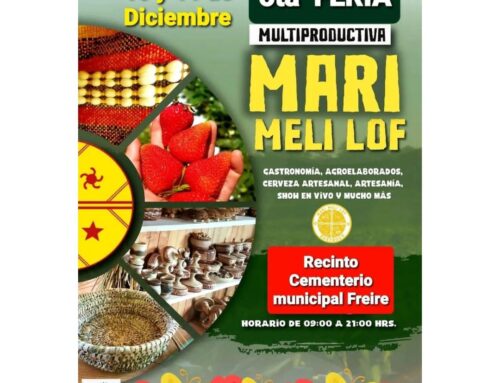 10 y 11 de diciembre: 6ta Feria multiproductiva Mari meli lof #Freire 2022
