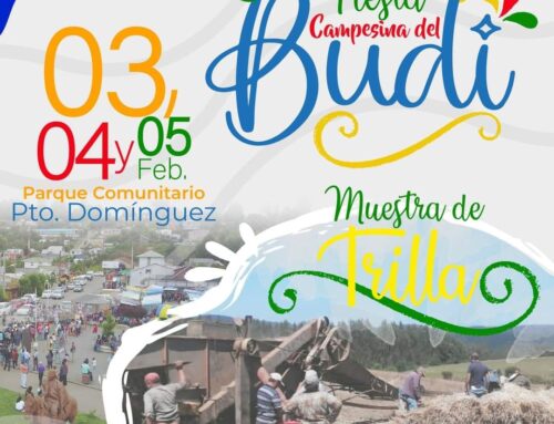 03 al 05 febrero: 1era Feria y Fiesta campesina del Budi #Saavedra 2023