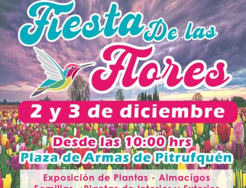 02 y 03 de diciembre: Fiesta de las flores – Plaza de las Armas #Pitrufquén 2023