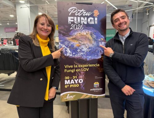Pitrufquén realizará la “Pitrufungi 2026” para promover el turismo y el mundo fungi