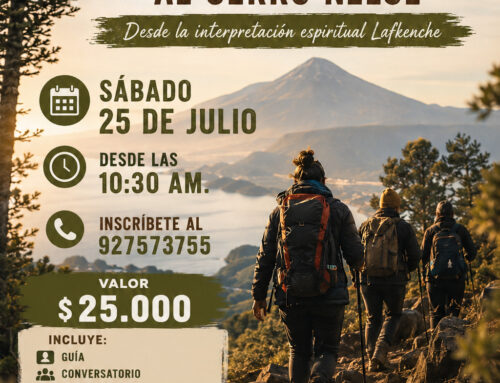 Sábado 25 de julio: Experiencia cultural Acenso al Cerro Ñelol