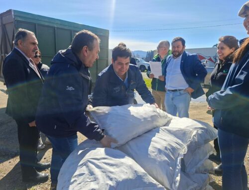 Minagri comienza en Purén apoyo a pequeños agricultores afectados por la emergencia