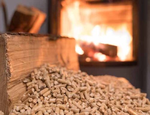 Crisis del pellet en La Araucanía: concejal pide a la FNE poner la lupa sobre el mercado
