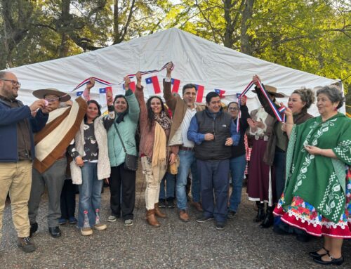 La Feria de emprendedores “Tira Pa’rriba” fue inaugurada en pleno centro de Pucón