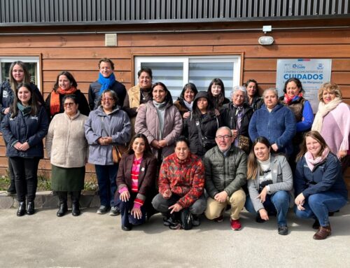 Cien mujeres cuidadoras de La Araucanía se capacitarán en habilidades digitales para emprender