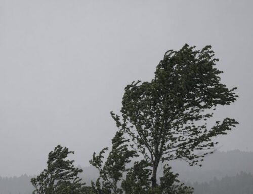 Alerta temprana preventiva en la Araucanía por fuertes vientos durante fiestas patrias