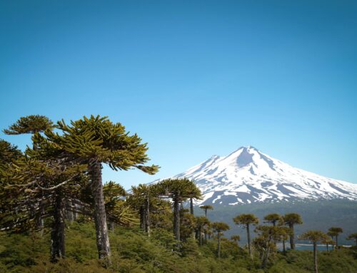 XVI Seminario Regional de Biodiversidad reunirá a expertos ambientales