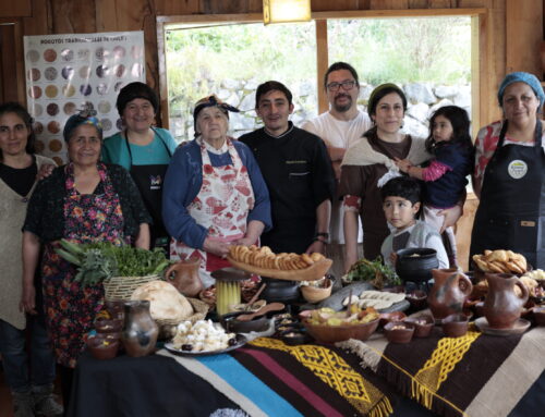 Festival de Gastronomía Mapuche MOGEKONMEN regresa a Kurarewe el 30 y 31 de octubre y 1 de noviembre
