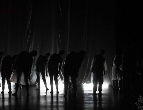 Festival rara comienza el 4 de noviembre en pucón con danza contemporánea y actividades gratuitas
