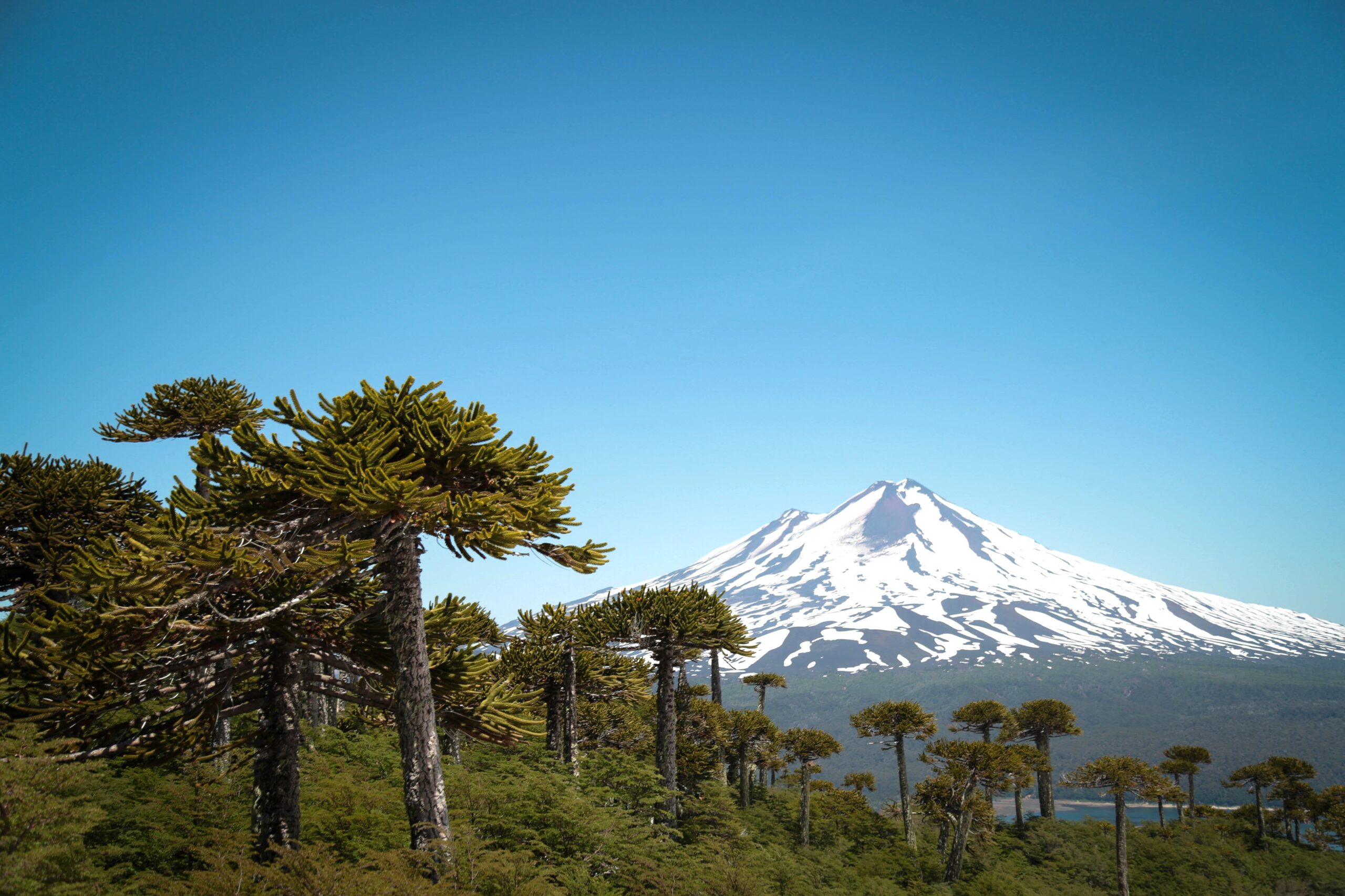 XVI Seminario Regional de Biodiversidad reunirá a expertos ambientales