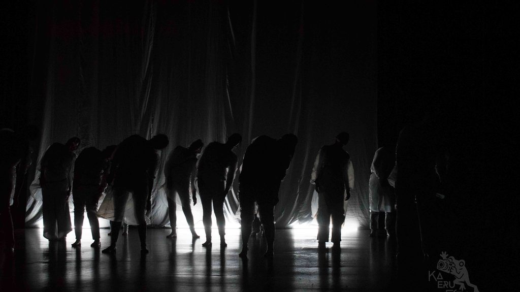 Festival rara comienza el 4 de noviembre en pucón con danza contemporánea y actividades gratuitas